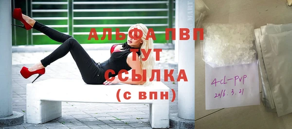шишки Алзамай