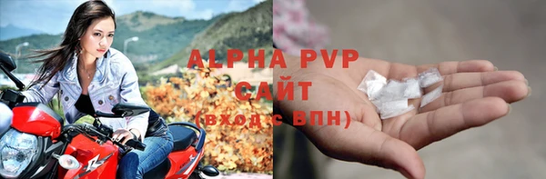 хмурый Абаза