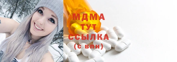 хмурый Абаза