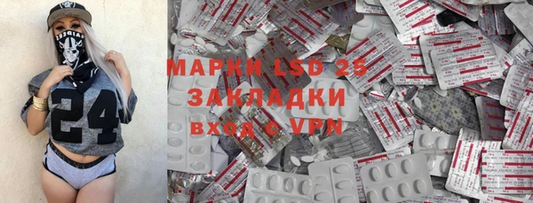 хмурый Абаза