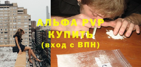хмурый Абаза
