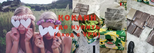 шишки Алзамай
